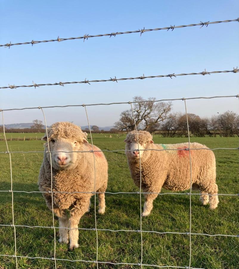 ホテル Abbey Farm Luxury Glamping Rhuddlan エクステリア 写真