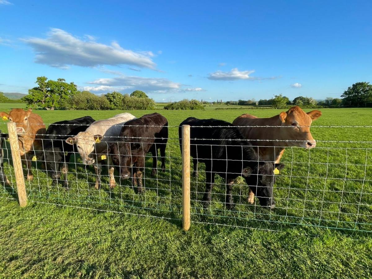 ホテル Abbey Farm Luxury Glamping Rhuddlan エクステリア 写真