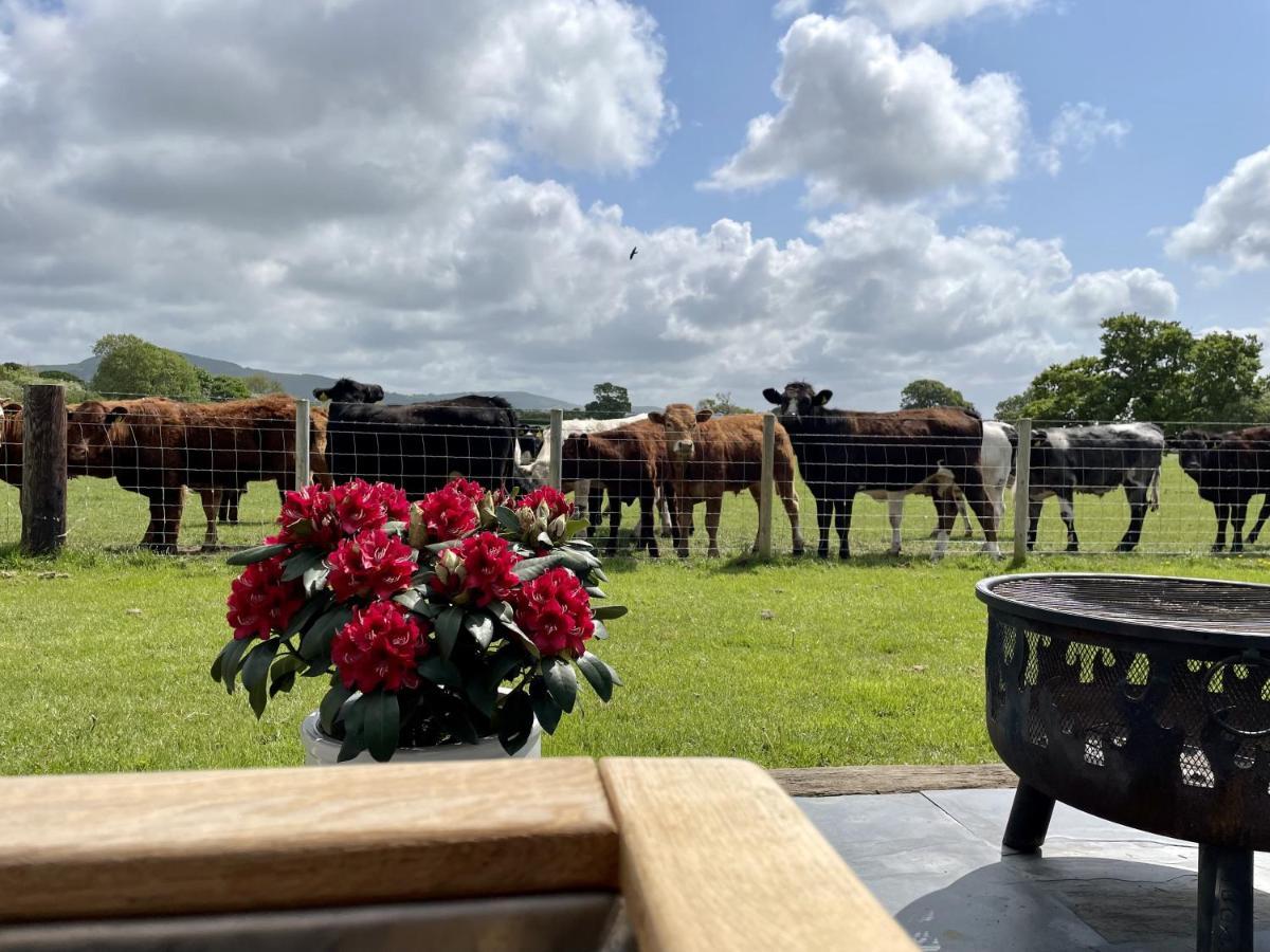 ホテル Abbey Farm Luxury Glamping Rhuddlan エクステリア 写真