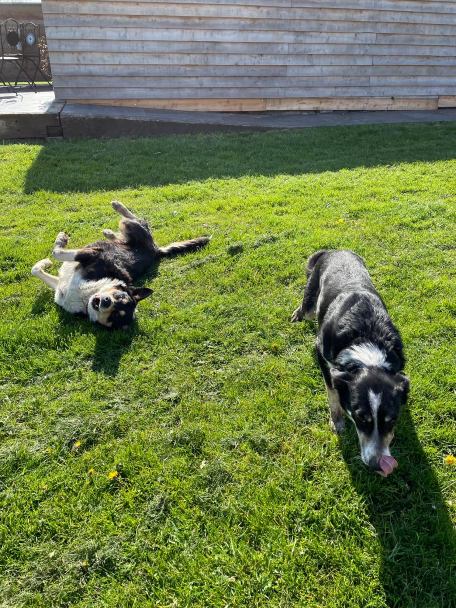 ホテル Abbey Farm Luxury Glamping Rhuddlan エクステリア 写真